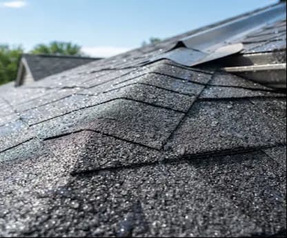 Roof Leaks